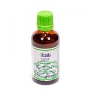 hpv_joalis_vegamedica