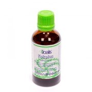 kokplus_joalis_vegamedica