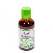 nodegen_joalis_vegamedica