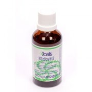 ricketti_joalis_vegamedica