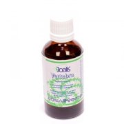 vertebra_joalis_vegamedica