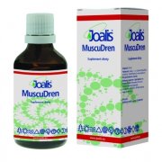 muscudren_vegamedica