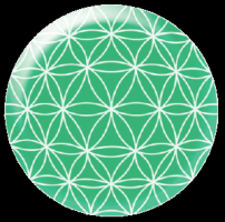 boishield60mm-vegamedica