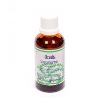 supraren_joalis_vegamedica