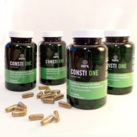 consti_one_vegamedica